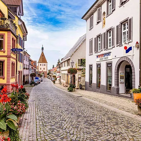 Apartment, Close To Europa Park, Alsace, Black Forest, Family Friendly, Dogs Allowed *