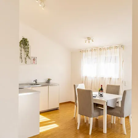 Apartment, Close To Europa Park, Alsace, Black Forest, Family Friendly, Dogs Allowed Endingen am Kaiserstuhl