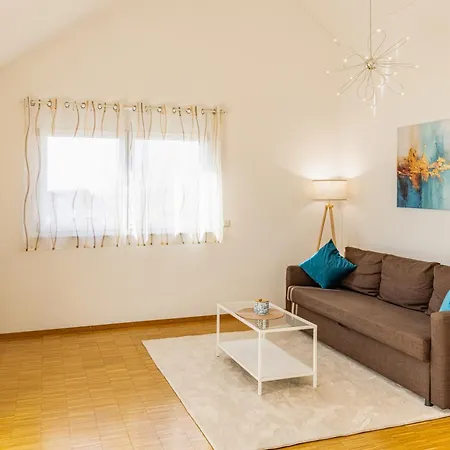 Apartment, Close To Europa Park, Alsace, Black Forest, Family Friendly, Dogs Allowed Endingen am Kaiserstuhl