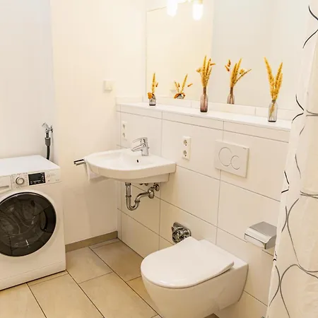 Apartman Apartment, Close To Europa Park, Alsace, Black Forest, Family Friendly, Dogs Allowed Endingen am Kaiserstuhl